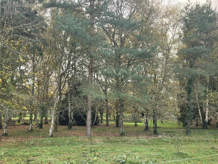 Maison a vendre Gennes-Longuefuye 53200 Mayenne 235 m2 9 pièces 518000 euros