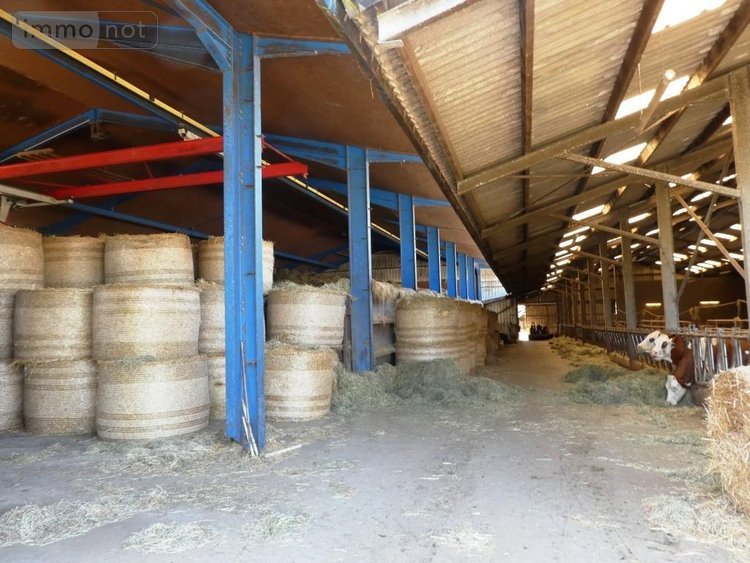 Divers a vendre Le Saint 56110 Morbihan 1 m2  335600 euros