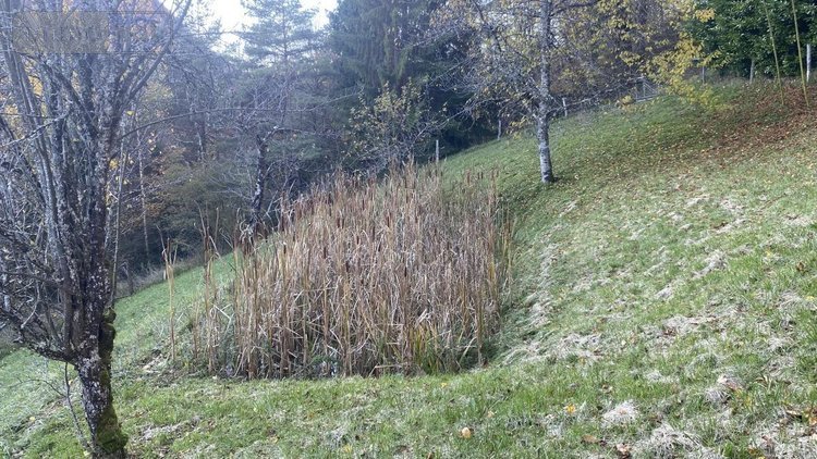 Maison a vendre Montanges 01200 Ain 217 m2 6 pièces 395000 euros