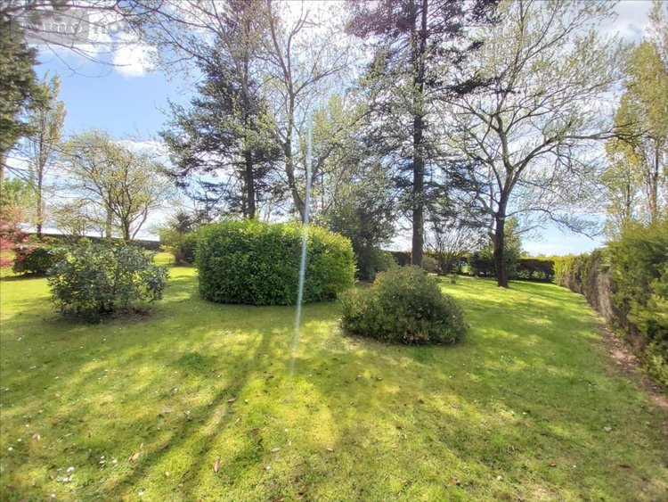 Maison a vendre Plonévez-Porzay 29550 Finistère 340 m2 20 pièces 971250 euros