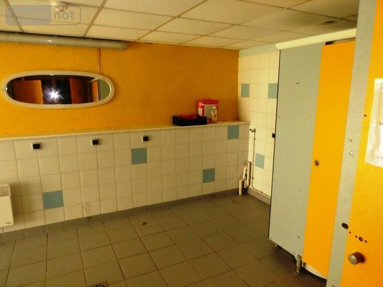 Maison a vendre Silfiac 56480 Morbihan 350 m2 10 pièces 288600 euros