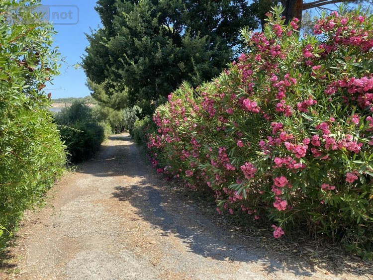 Maison a vendre Saint-Florent 20217 Haute-Corse 209 m2 8 pièces 758900 euros