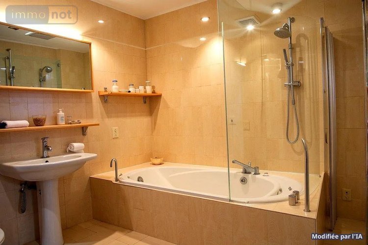 Appartement a vendre Noisy-le-Grand 93160 Seine-Saint-Denis 46 m2 2 pièces 119000 euros