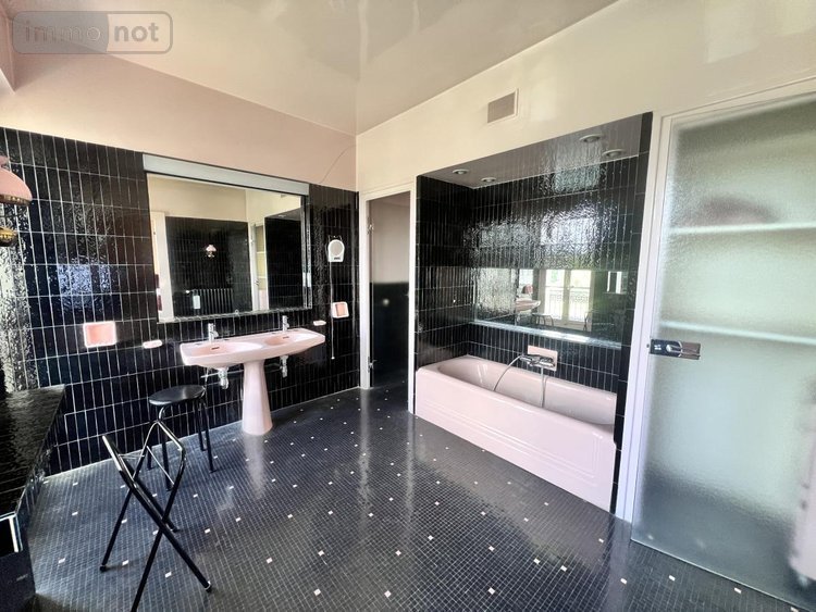 Maison a vendre Saint-Aignan 41110 Loir-et-Cher 475 m2 12 pièces 420000 euros