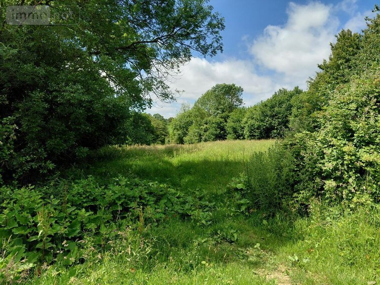 Maison a vendre Origny-le-Butin 61130 Orne 75 m2 1 pièce 96300 euros