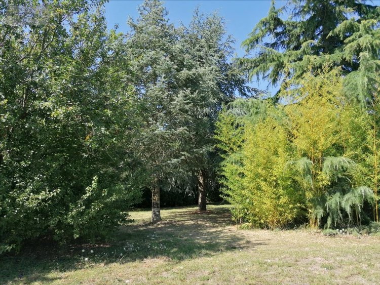 Maison a vendre Bournan 37240 Indre-et-Loire 78 m2 3 pièces 57750 euros