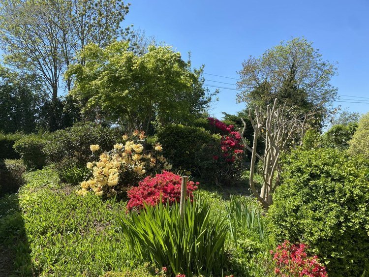 Maison a vendre Burcy 14410 Calvados 119 m2 5 pièces 281685 euros