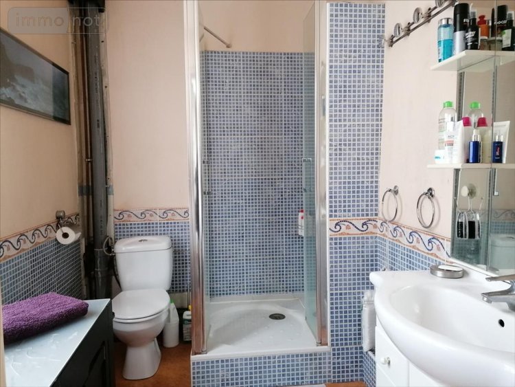 Maison a vendre Descartes 37160 Indre-et-Loire 196 m2 8 pièces 199920 euros