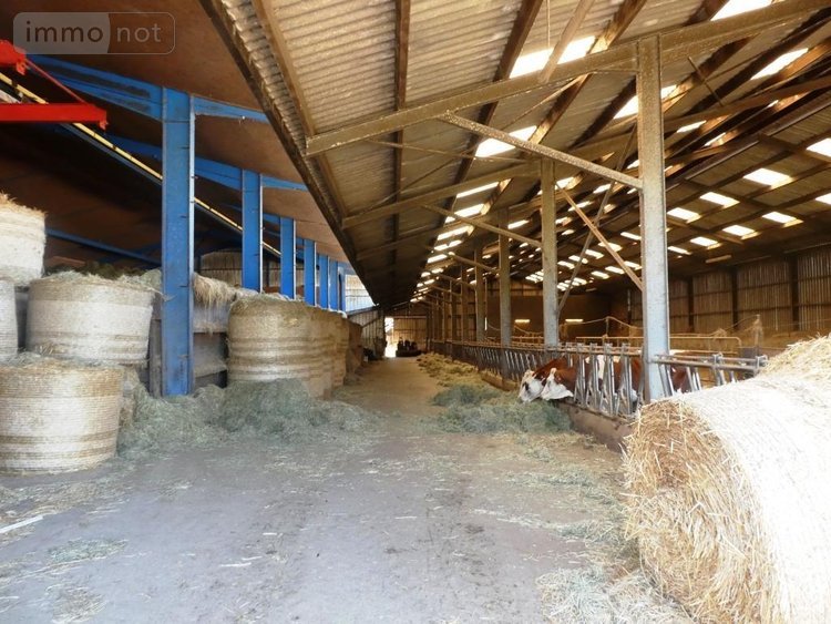 Divers a vendre Le Saint 56110 Morbihan 1 m2  335600 euros