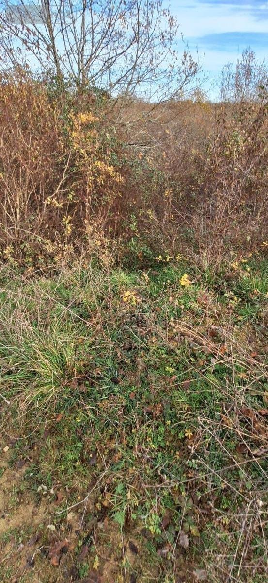 Terrains de loisirs bois etangs a vendre Peyrusse-Grande 32320 Gers 57740 m2  39500 euros