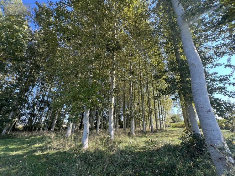 Divers a vendre Caulnes 22350 Côtes-d'Armor 17094 m2  53490 euros