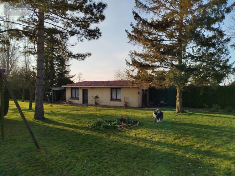 Maison a vendre Bourlon 62860 Pas-de-Calais 183 m2 8 pièces 262500 euros