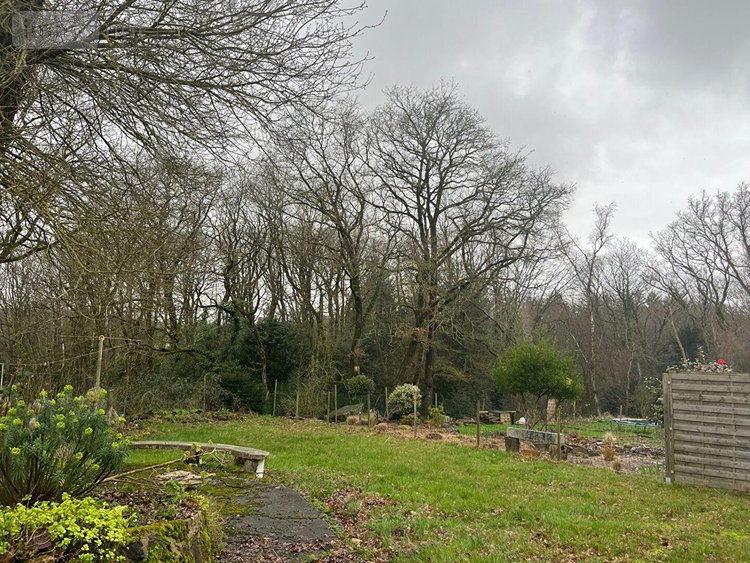 Location maison Montfort-sur-Meu 35160 Ille-et-Vilaine 67 m2 3 pièces 700 euros