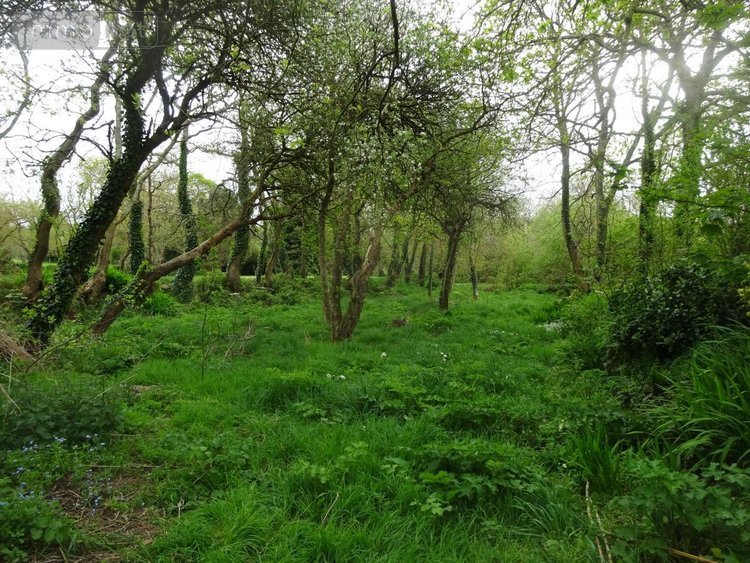 Maison a vendre Guilers 29820 Finistère 124 m2 5 pièces 218760 euros