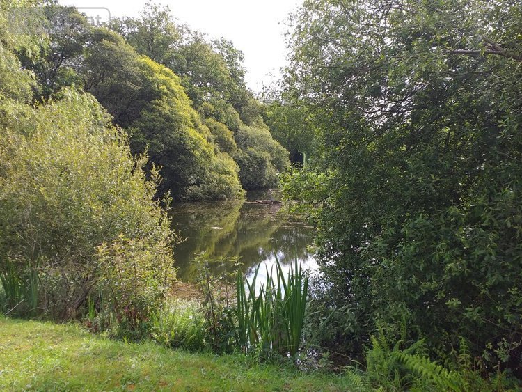 Maison a vendre Moustoir-Ac 56500 Morbihan 97 m2  619372 euros