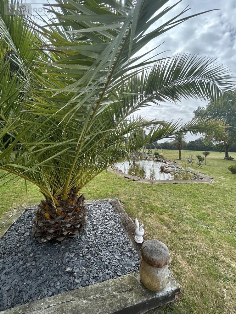 Maison a vendre Lanvollon 22290 Côtes-d'Armor 201 m2 6 pièces 646600 euros