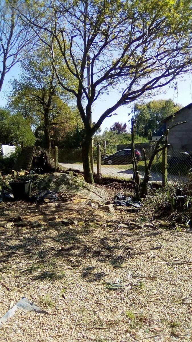 Maison a vendre Plumelec 56420 Morbihan 156 m2 5 pièces 308275 euros
