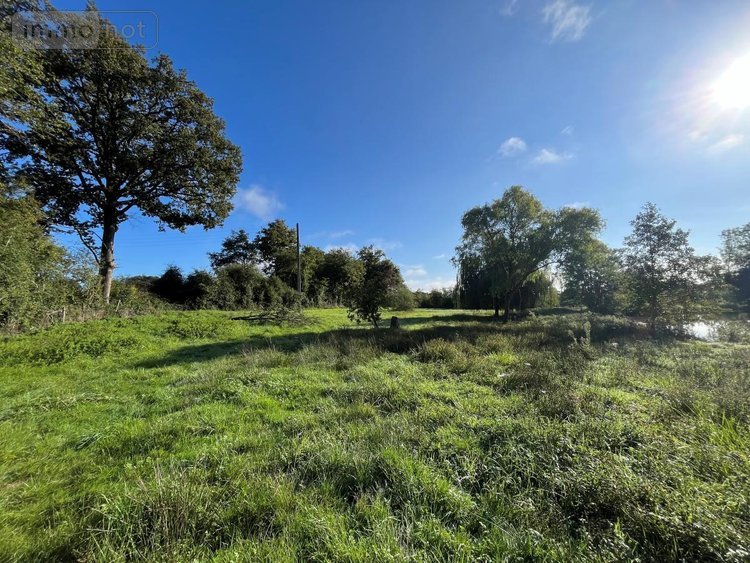 Terrains de loisirs bois etangs a vendre Saint-Christophe-du-Luat 53150 Mayenne 17420 m2  84320 euros