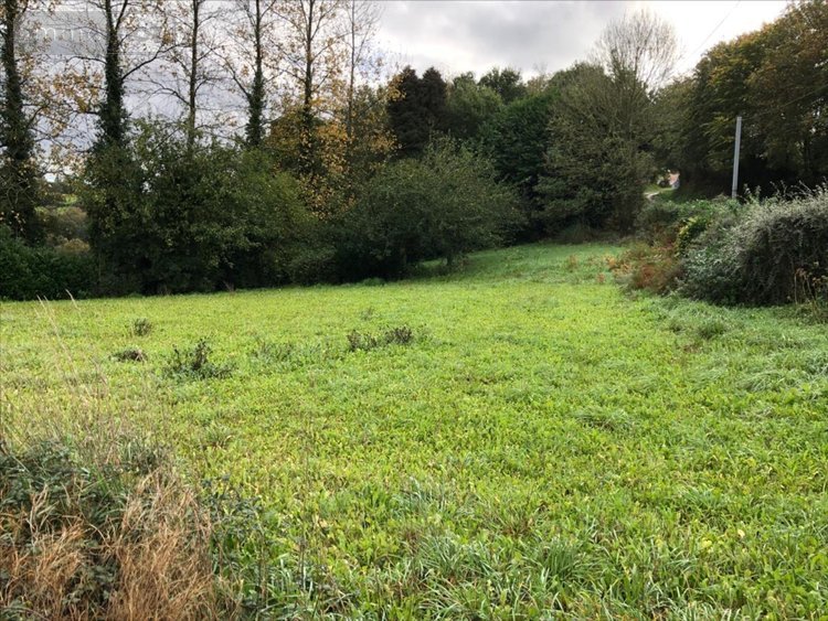 Maison a vendre Plouyé 29690 Finistère 60 m2 5 pièces 84800 euros