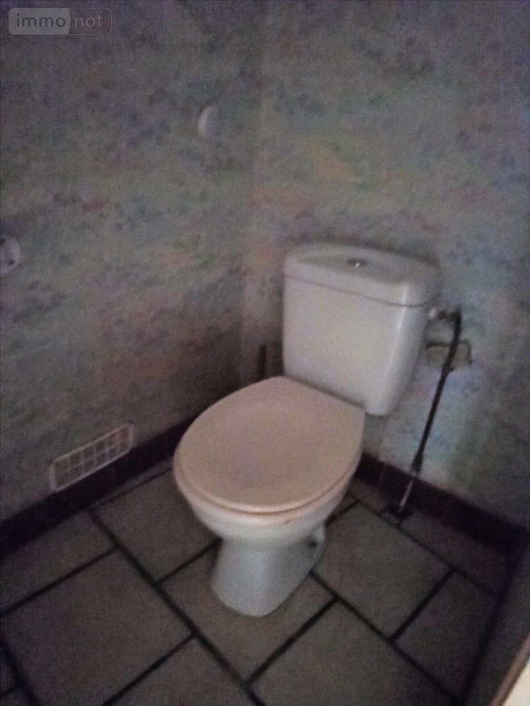 Maison a vendre Dun-sur-Auron 18130 Cher 85 m2 3 pièces 38960 euros