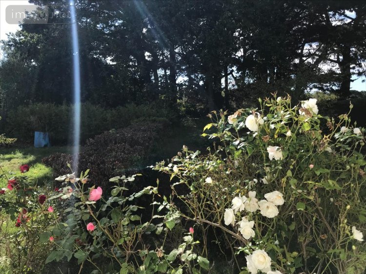 Maison a vendre Groix 56590 Morbihan 100 m2 4 pièces 416000 euros