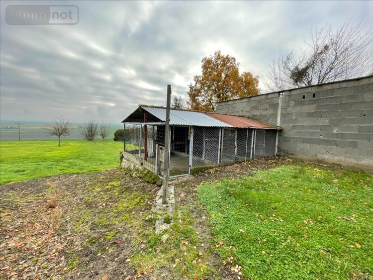 Maison a vendre Faye-la-Vineuse 37120 Indre-et-Loire 73 m2 3 pièces 93800 euros