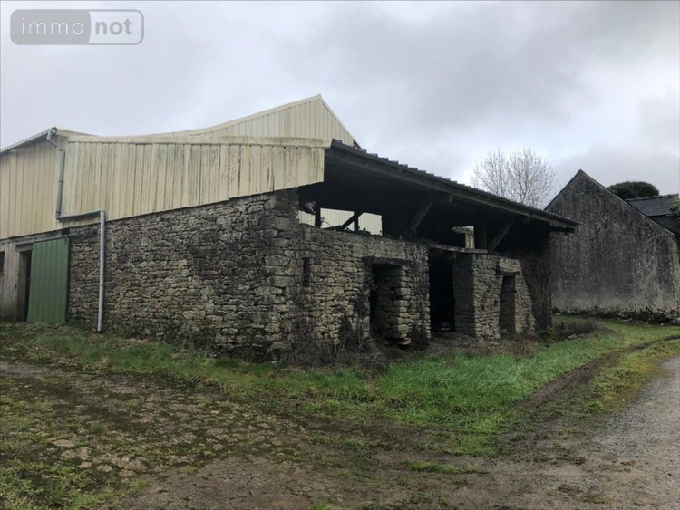 Maison a vendre Plouyé 29690 Finistère 45 m2 5 pièces 74200 euros