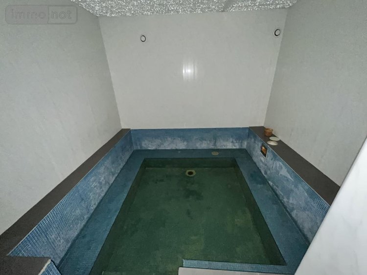 Immeuble a vendre Ingrandes-Le-Fresne-sur-Loire 49123 Maine-et-Loire 314 m2  199500 euros