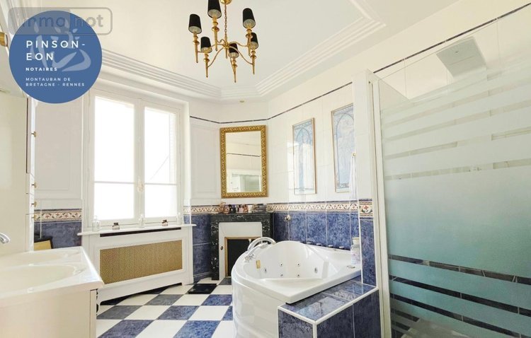 Maison a vendre Montfort-sur-Meu 35160 Ille-et-Vilaine 258 m2 9 pièces 846568 euros