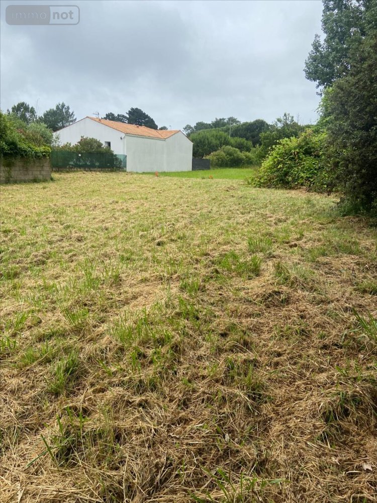 Terrain a batir a vendre Le Grand-Village-Plage 17370 Charente-Maritime 610 m2  127200 euros