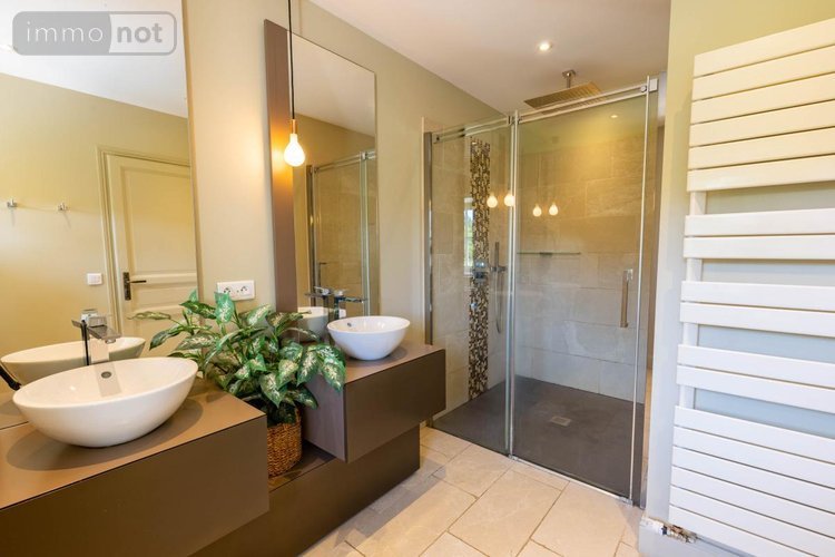 Maison a vendre Pruniers-en-Sologne 41200 Loir-et-Cher 405 m2 11 pièces 1768000 euros