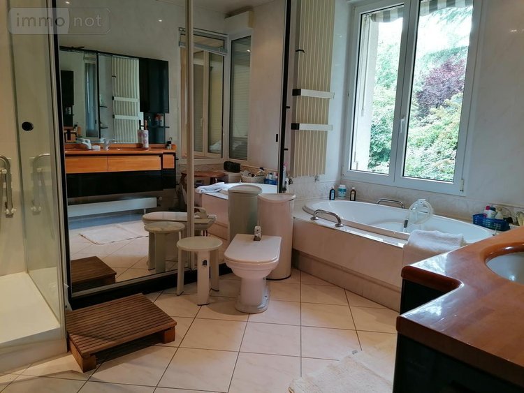 Maison a vendre Descartes 37160 Indre-et-Loire 414 m2 21 pièces 367500 euros