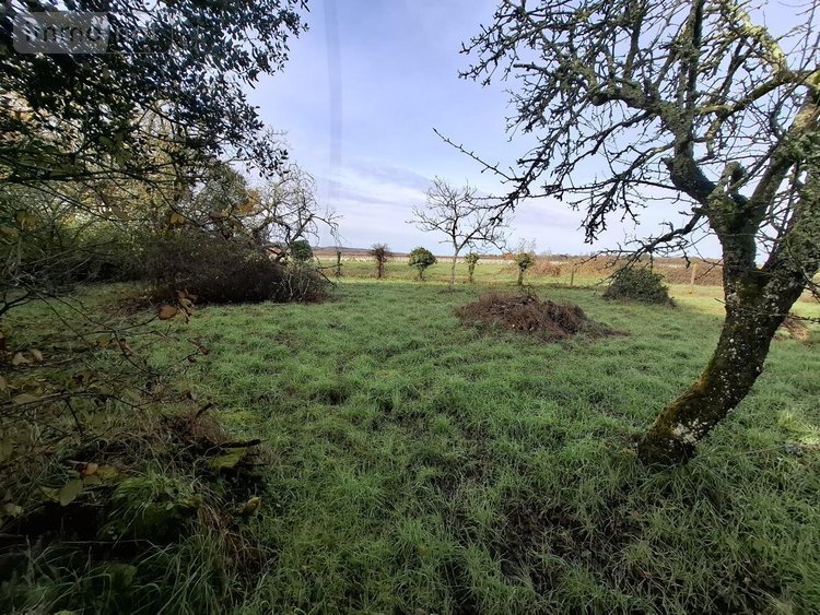 Maison a vendre Val de Cognac 16370 Charente 228 m2 6 pièces 299022 euros