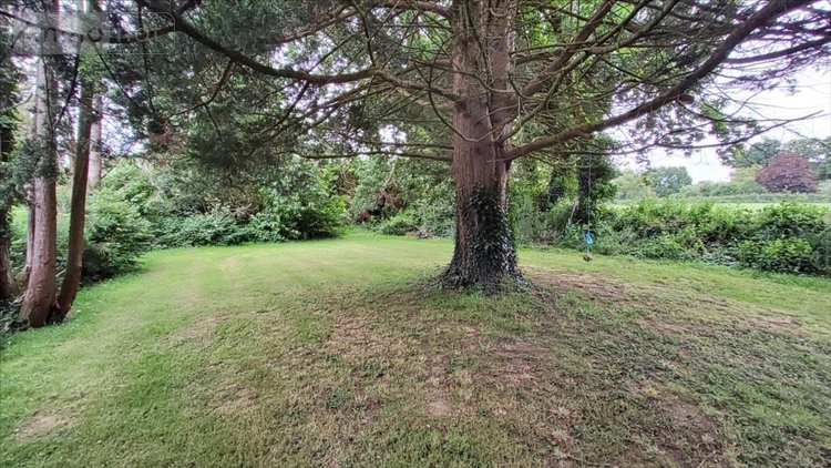 Maison a vendre Poullaouen 29246 Finistère 35 m2 3 pièces 87150 euros