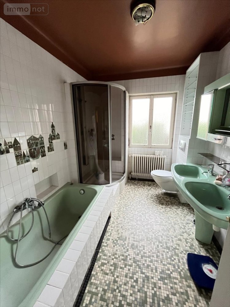 Maison a vendre Delle 90100 Territoire de Belfort 330 m2 10 pièces 280000 euros