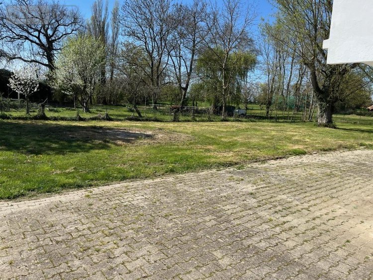 Maison a vendre Saint-Jean-de-Niost 01800 Ain 110 m2 4 pièces 298000 euros