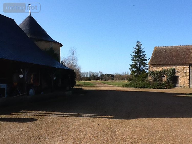 Maison a vendre Souligné-Flacé 72210 Sarthe 275 m2 8 pièces 519800 euros
