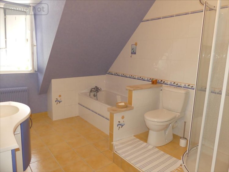 Maison a vendre Saint-Doulchard 18230 Cher 200 m2 7 pièces 475000 euros