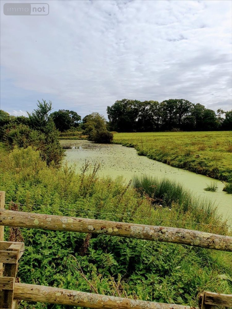 Maison a vendre Colomby 50700 Manche 120 m2 8 pièces 328050 euros