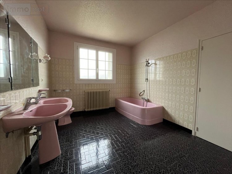 Maison a vendre Saint-Sulpice-de-Pommeray 41000 Loir-et-Cher 229 m2 8 pièces 221000 euros