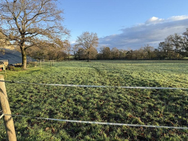 Maison a vendre Surzur 56450 Morbihan 185 m2 6 pièces 795200 euros