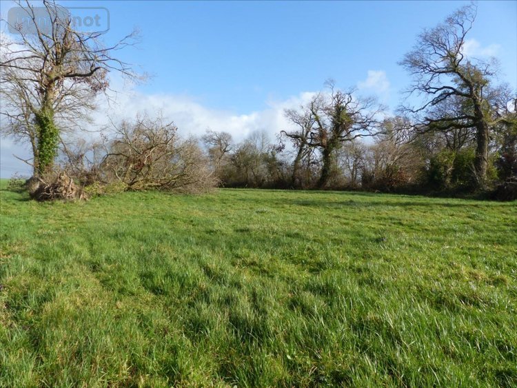 Maison a vendre Laulne 50430 Manche 70 m2 5 pièces 63840 euros