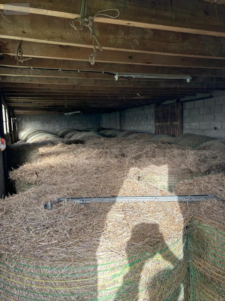 Terrain a batir a vendre Besneville 50390 Manche 12591 m2  137200 euros