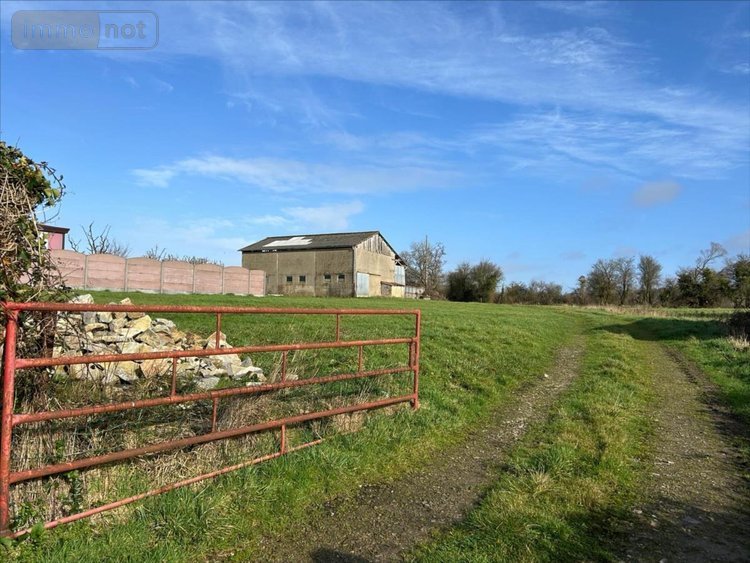 Terrain a batir a vendre Besneville 50390 Manche 12591 m2  137200 euros