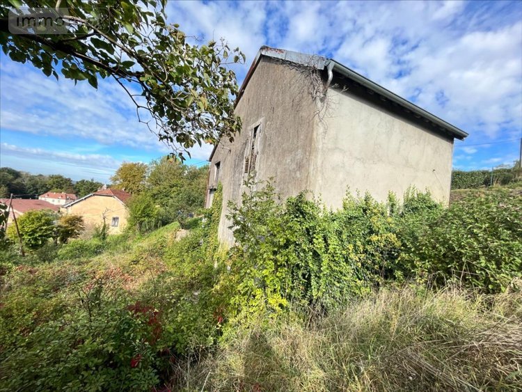 Maison a vendre Coulevon 70000 Haute-Saône 84 m2 5 pièces 43200 euros