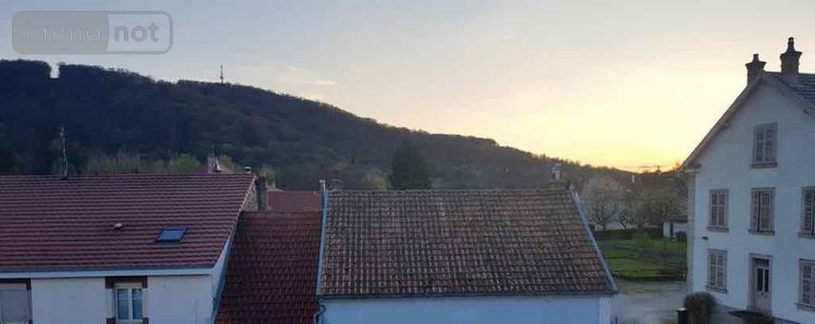 Appartement a vendre Bart 25420 Doubs 40 m2 3 pièces 60000 euros