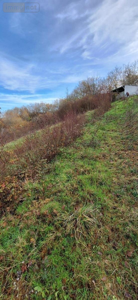 Terrains de loisirs bois etangs a vendre Peyrusse-Grande 32320 Gers 57740 m2  39500 euros