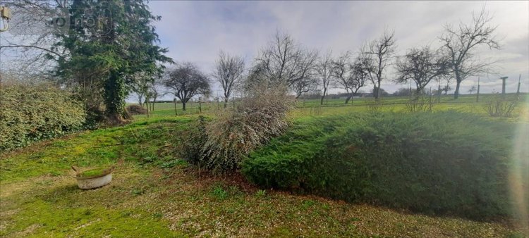 Maison a vendre Vicq-sur-Nahon 36600 Indre 75 m2 5 pièces 96750 euros