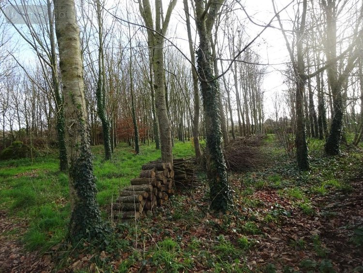 Maison a vendre Plouarzel 29810 Finistère 98 m2 8 pièces 301640 euros