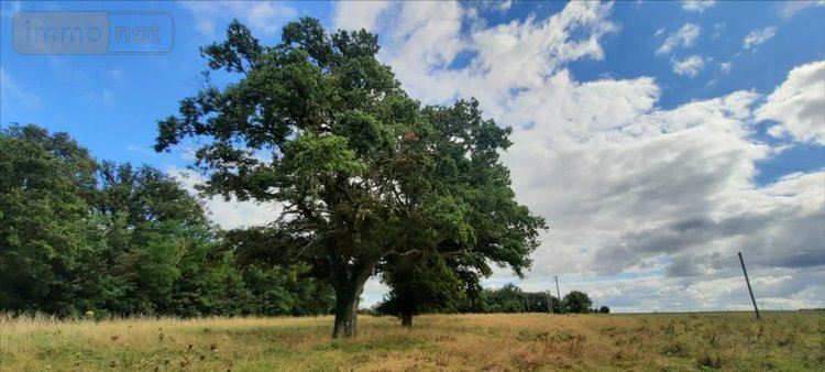Maison a vendre Poulaines 36210 Indre 220 m2 8 pièces 340000 euros